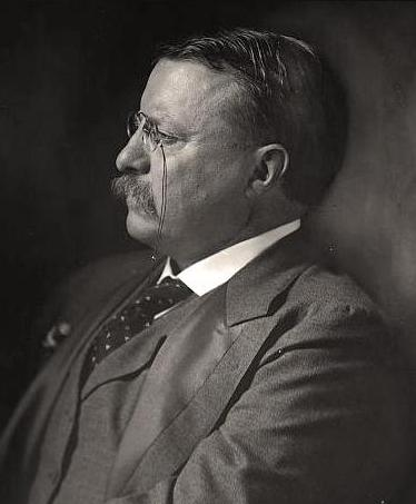 American Antiquities Act of 1906 and the Legacy of Theodore Roosevelt image